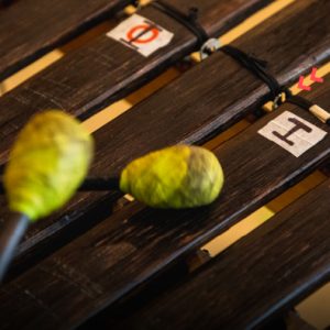 Bordón en Ritmo de Currulao