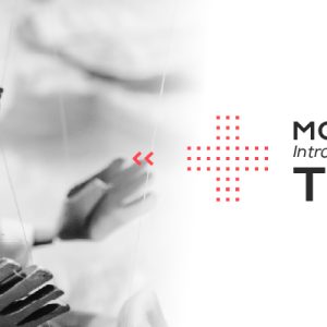 Introducción al Teatro de Títeres